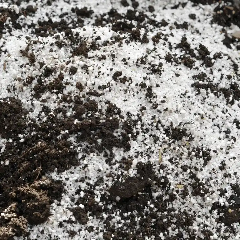perlite für blumenerde
