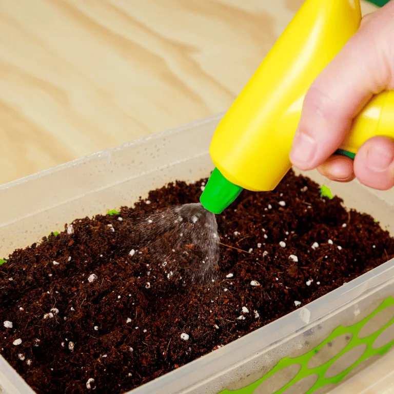 substrat für orchideen